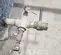2020 Sullair 425HDPQ-PE Air Compressor