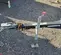 2017 Magnum Pro MLT6SM Portable Light Tower