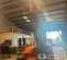2018 XTREME XR5919 Forklift