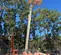 2017 Snorkel TB86J Boom Lift
