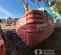 2017 Skyjack SJ40T Boom Lift