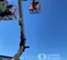 2017 JLG E450AJ Articulating Boom Lift